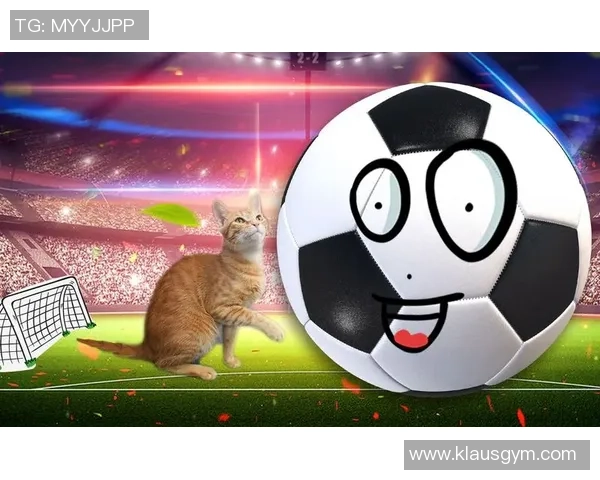 足球黑猫外号的由来与传奇故事揭秘，盘点那些与猫咪有关的足球明星